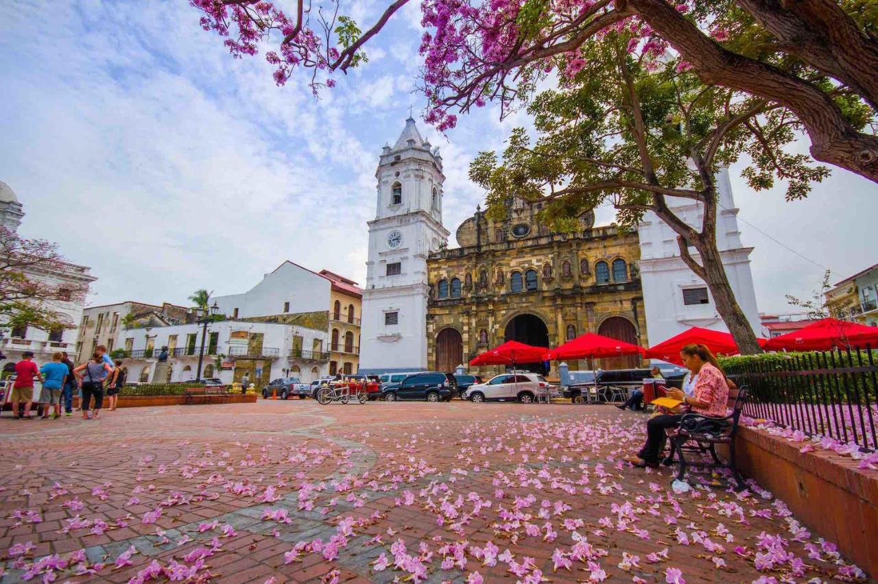 Amazing Suite In Casco Antiguo Panama Zewnętrze zdjęcie